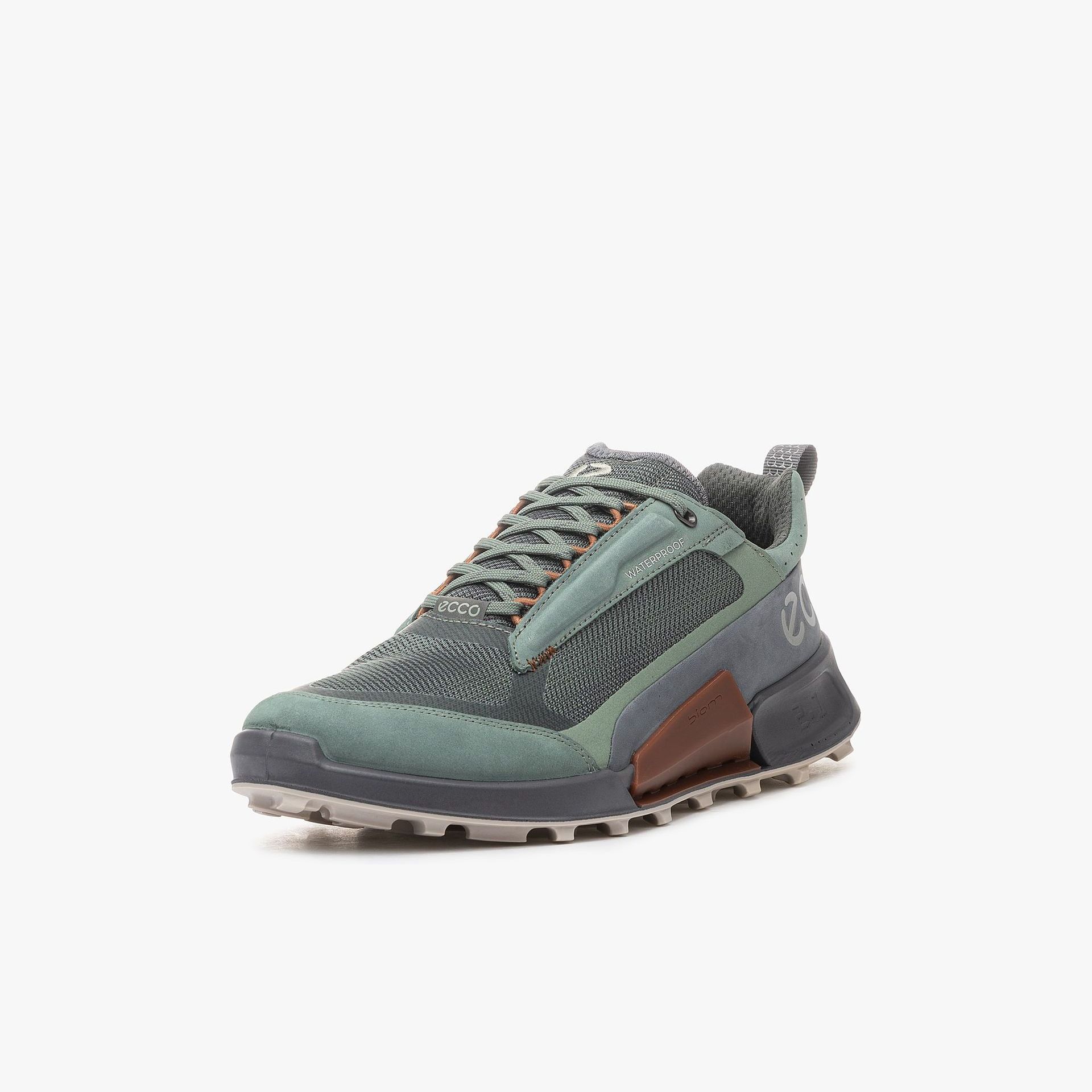 ECCO Biom 2.1 X MTN Low