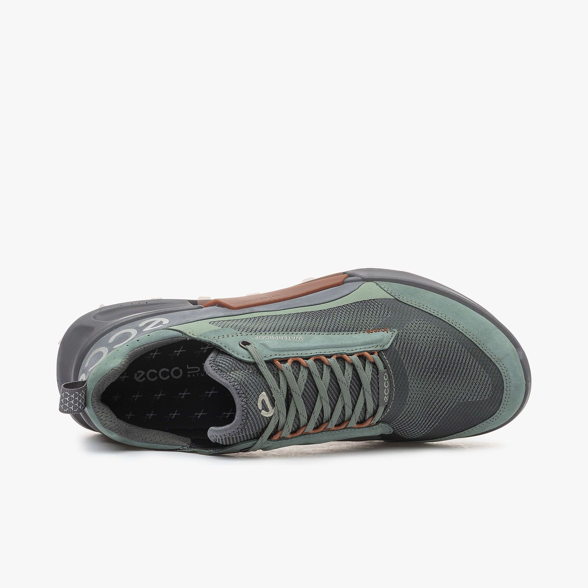 ECCO Biom 2.1 X MTN Low