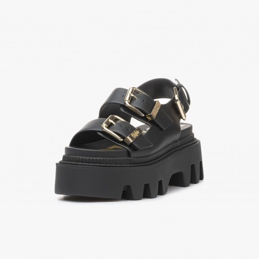 Buffalo Flora On Platform