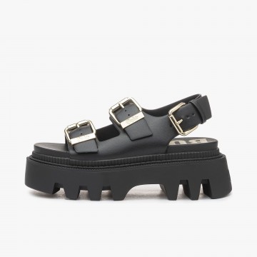 Buffalo Flora On Platform