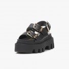 Buffalo Flora On Platform