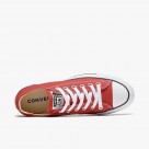 Converse All Star Chuck Taylor Classic Ox