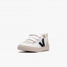 Veja V-10 CW K Veja V-10 CW K