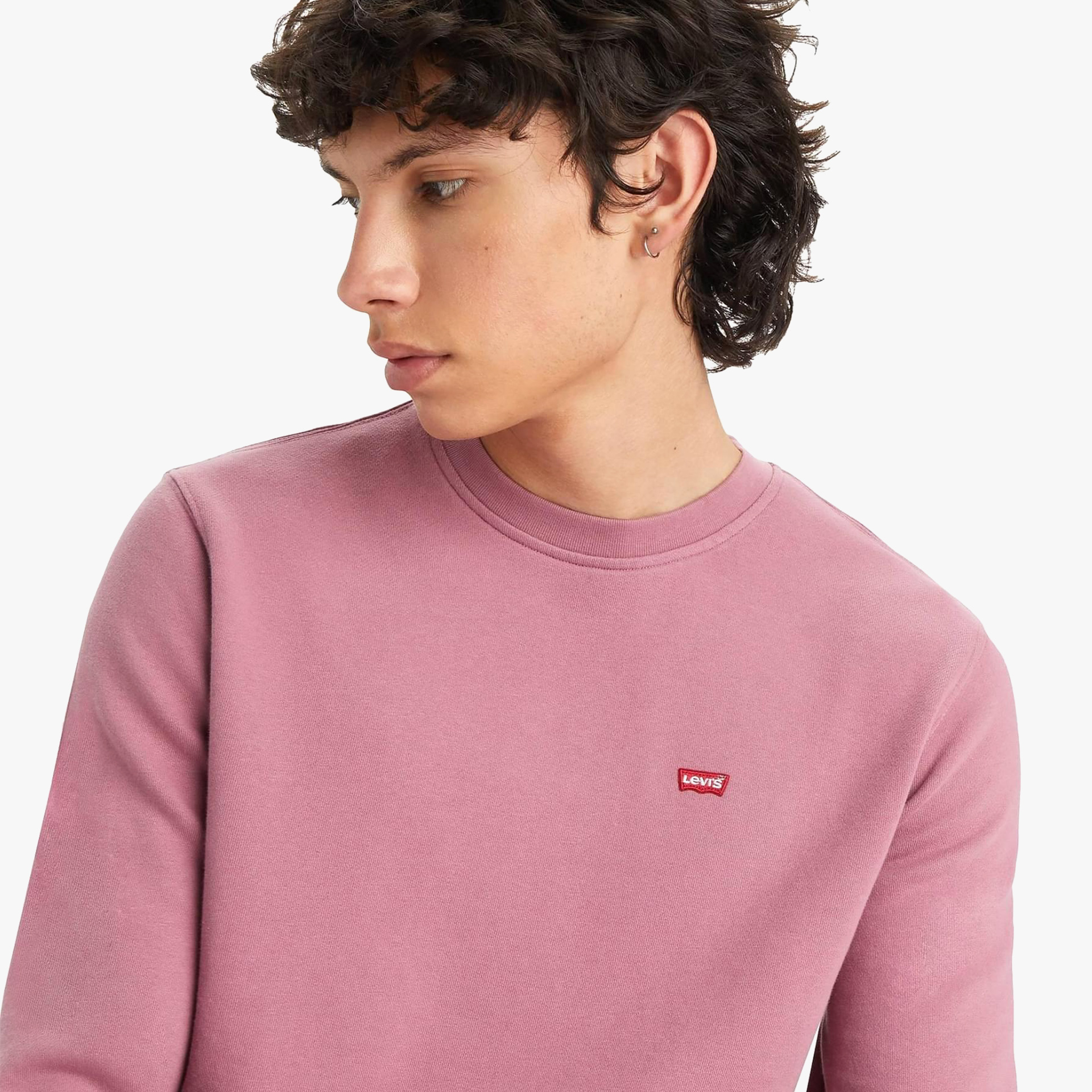 Levis Original Housemark