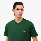 Lacoste Regular