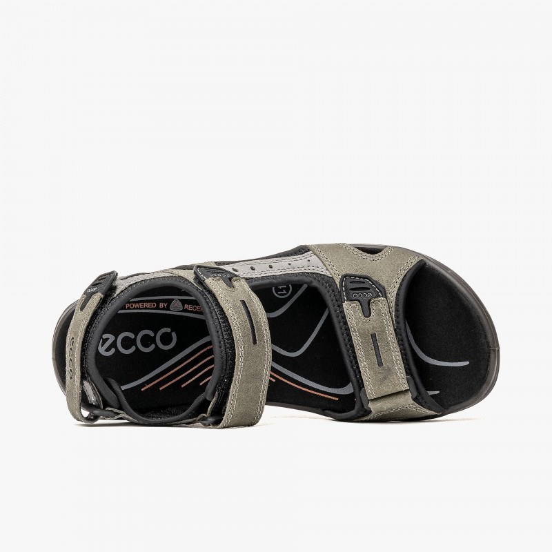 ECCO Offroad