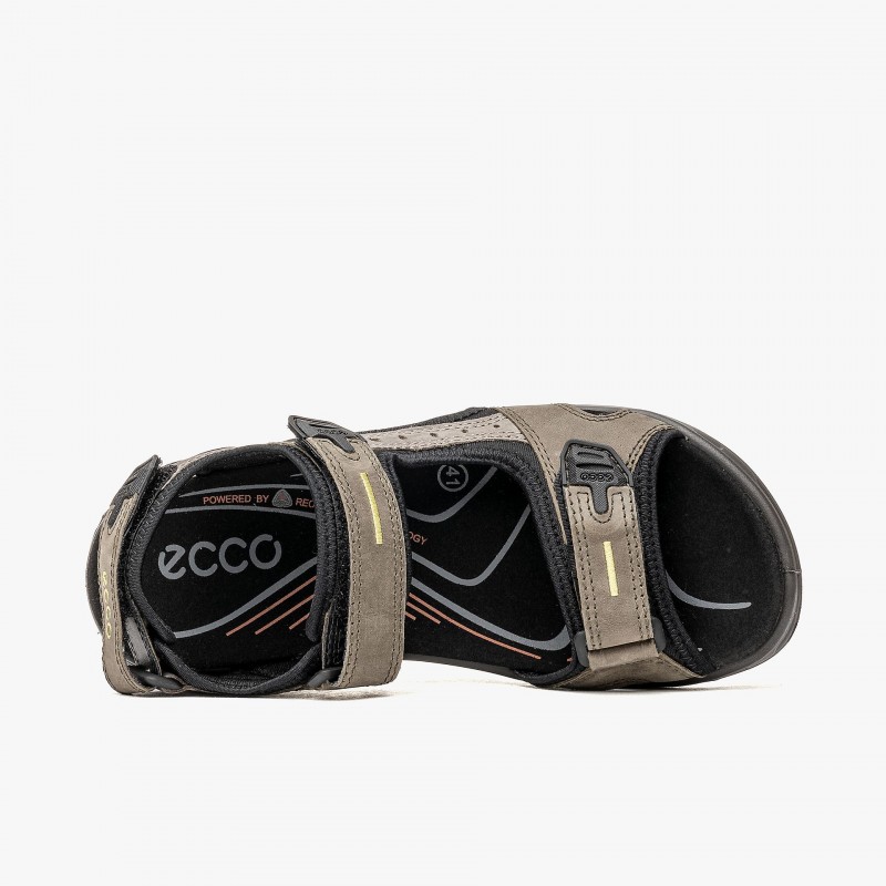 ECCO Offroad