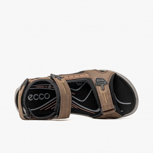 ECCO Offroad Espresso