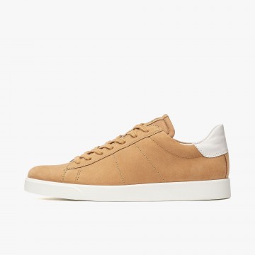 ECCO Street Lite