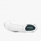 Lacoste Carnaby