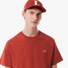 Lacoste Regular