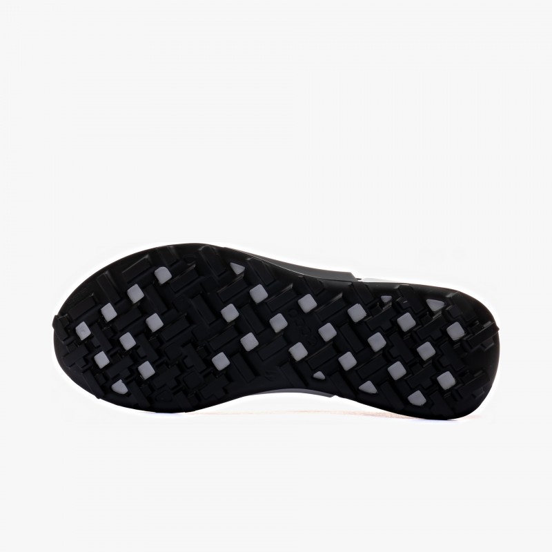 ECCO Biom 2.1 X MTN Low