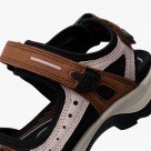 ECCO Offroad