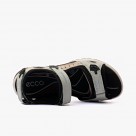 ECCO Offroad