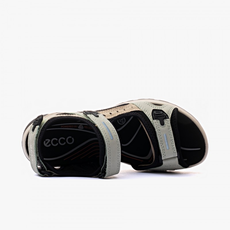 ECCO Offroad