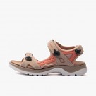 ECCO Offroad