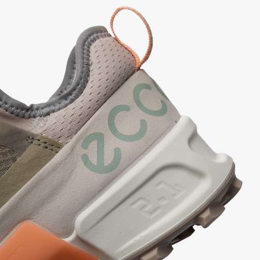 ECCO Biom 2.1 X Country