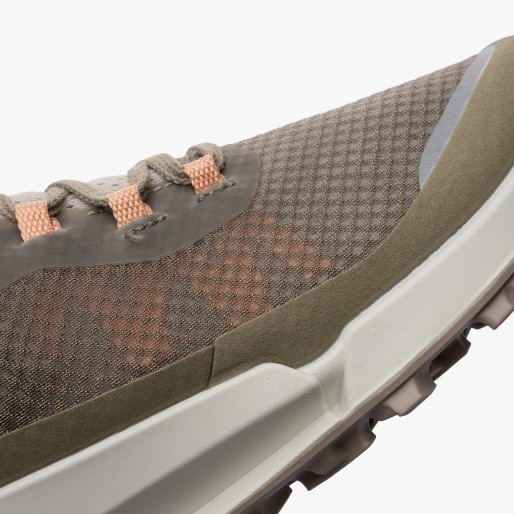 ECCO Biom 2.1 X Country