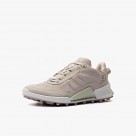 ECCO Biom 2.1 X Mountain