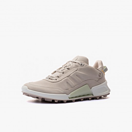 ECCO Biom 2.1 X Mountain