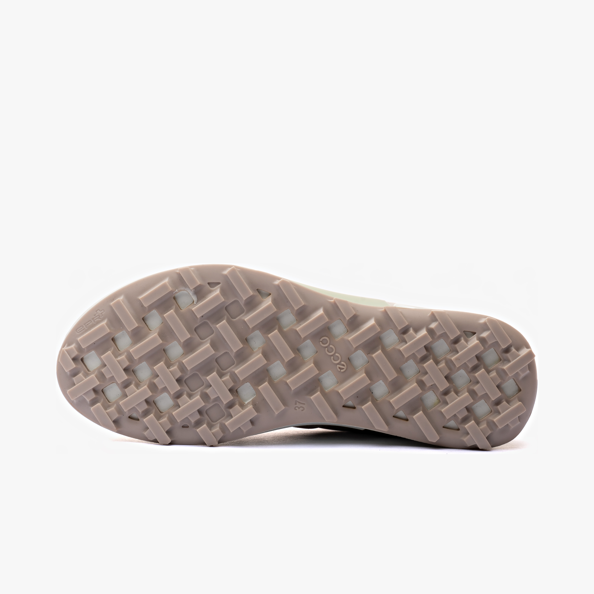 ECCO Biom 2.1 X Mountain