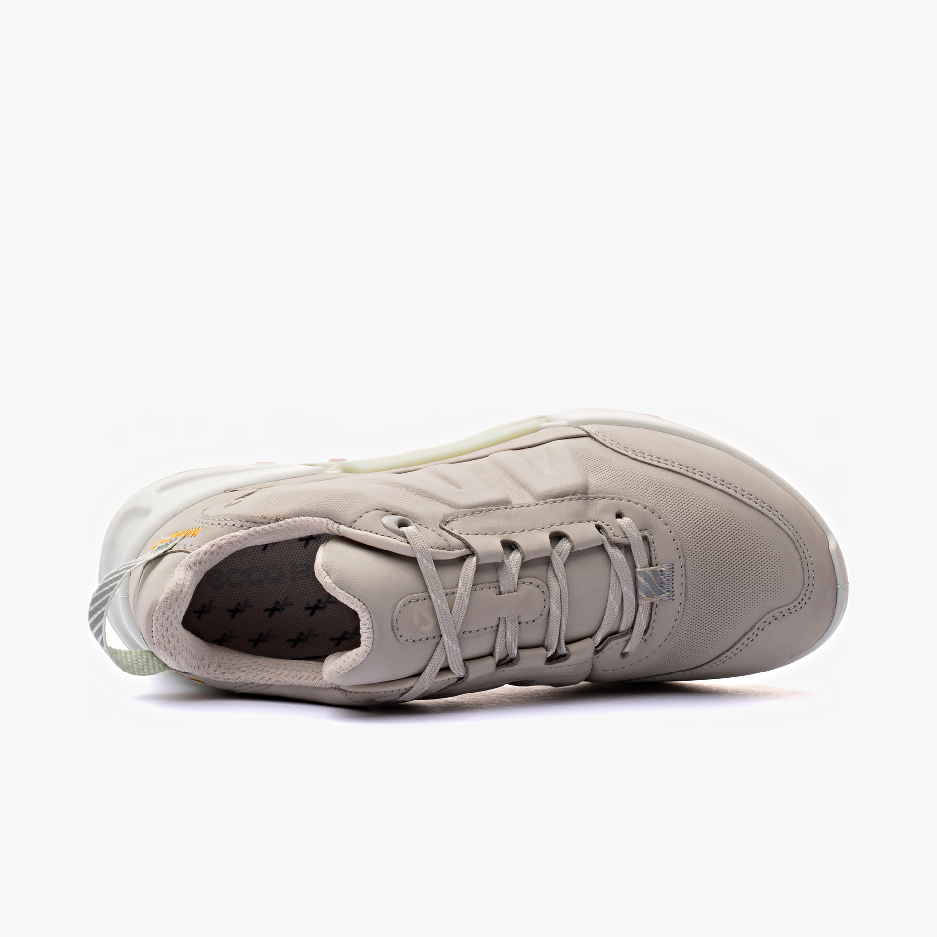 ECCO Biom 2.1 X Mountain