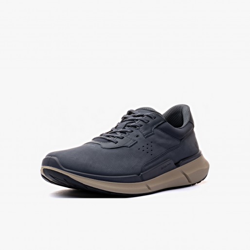 ECCO Biom 2.2