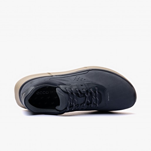ECCO Biom 2.2
