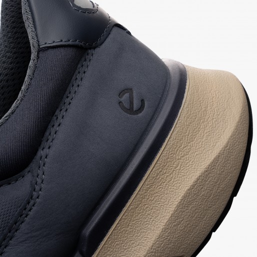 ECCO Biom 2.2