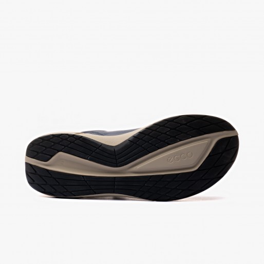 ECCO Biom 2.2