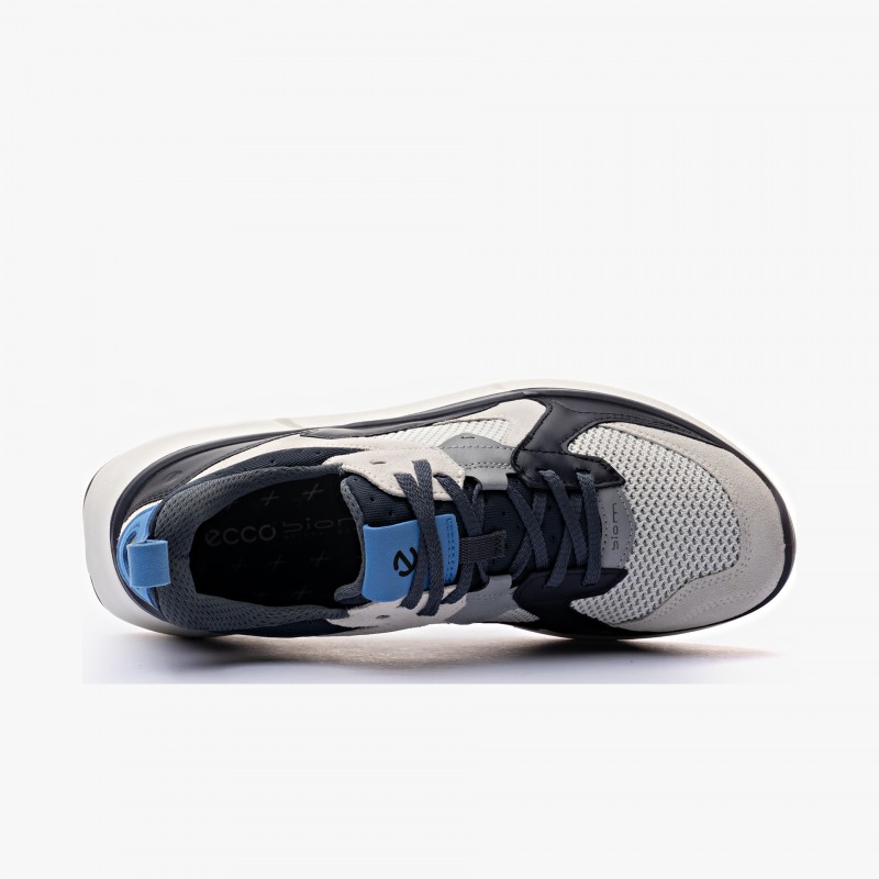 ECCO Biom 2.2