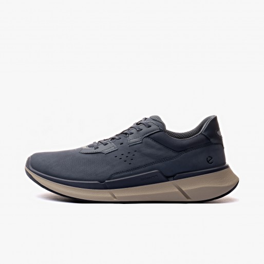 ECCO Biom 2.2