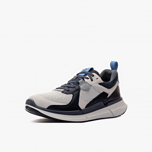 ECCO Biom 2.2