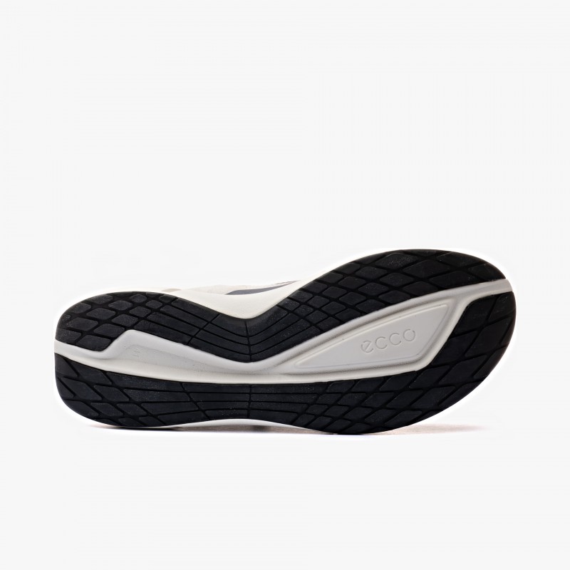 ECCO Biom 2.2