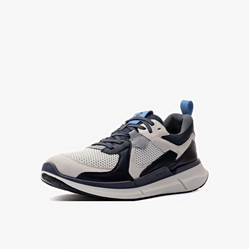ECCO Biom 2.2