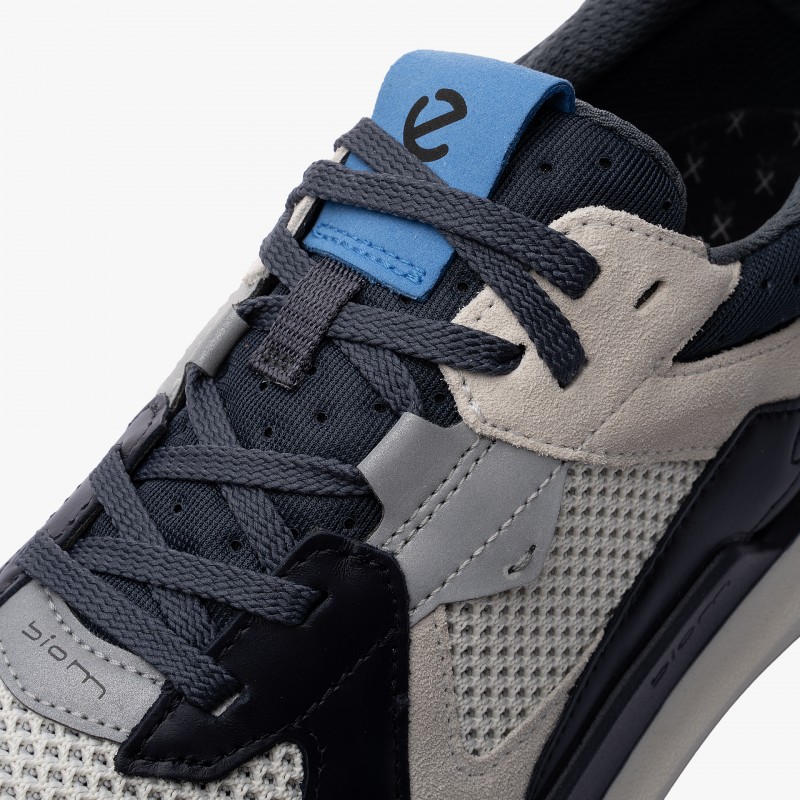 ECCO Biom 2.2