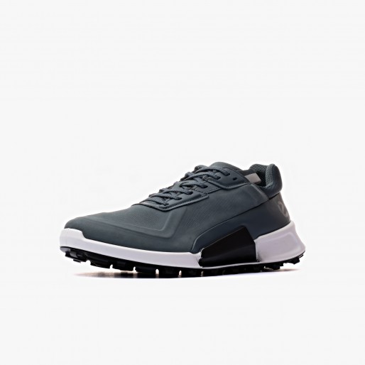 ECCO Biom 2.1 X Mountain