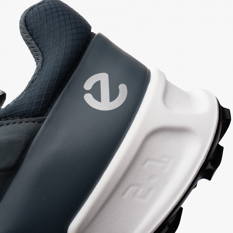 ECCO Biom 2.1 X Mountain