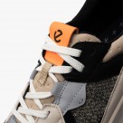 ECCO Biom 2.2