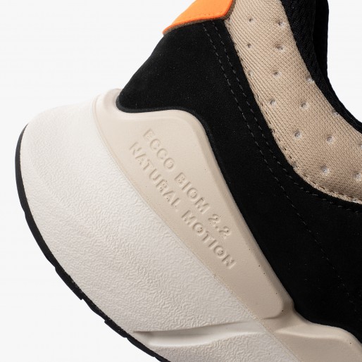 ECCO Biom 2.2