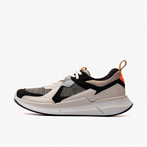 ECCO Biom 2.2