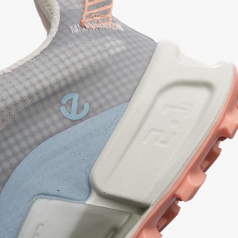 ECCO Biom 2.1 X MTN Low