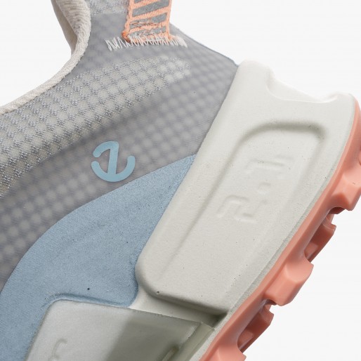 ECCO Biom 2.1 X MTN Low