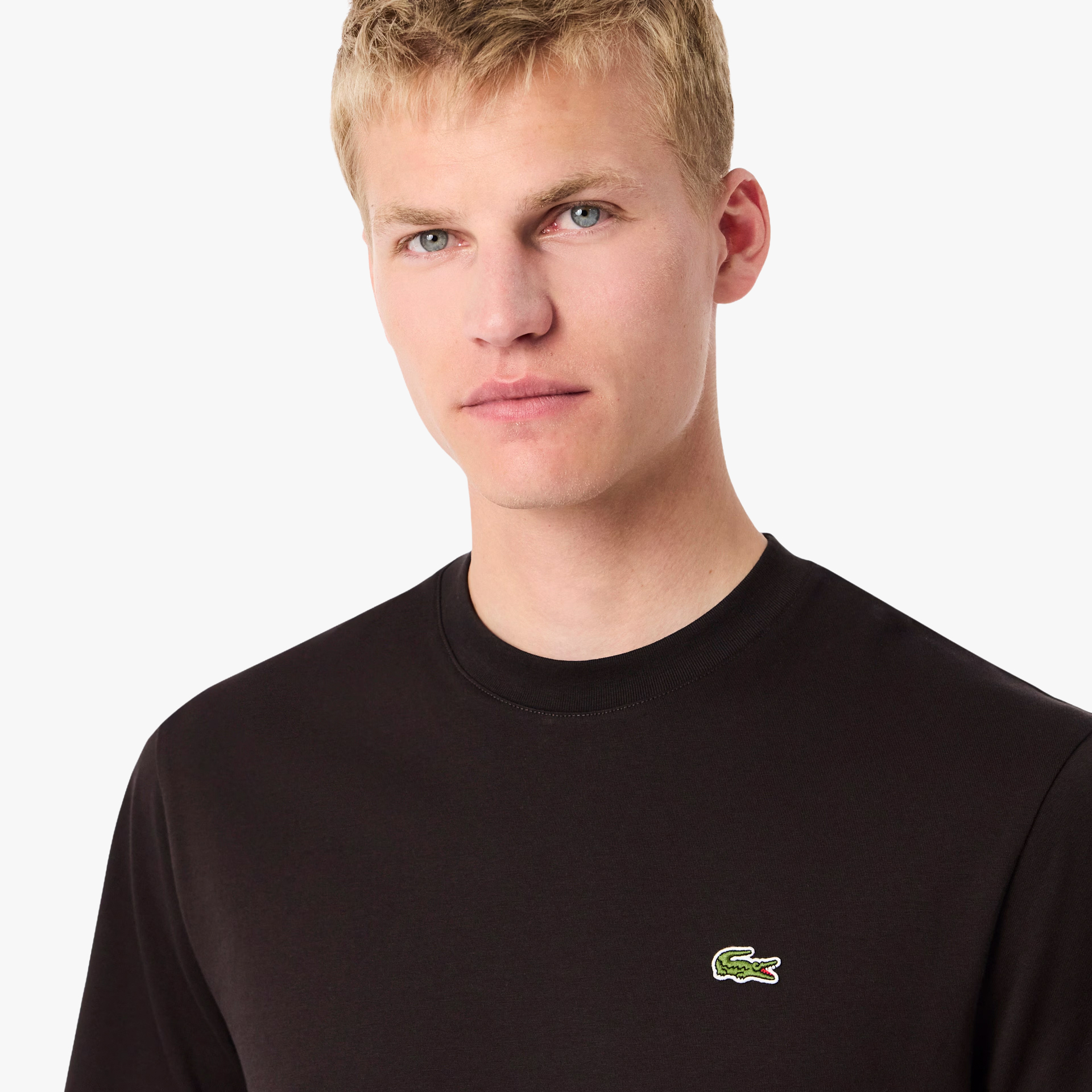 Lacoste Regular