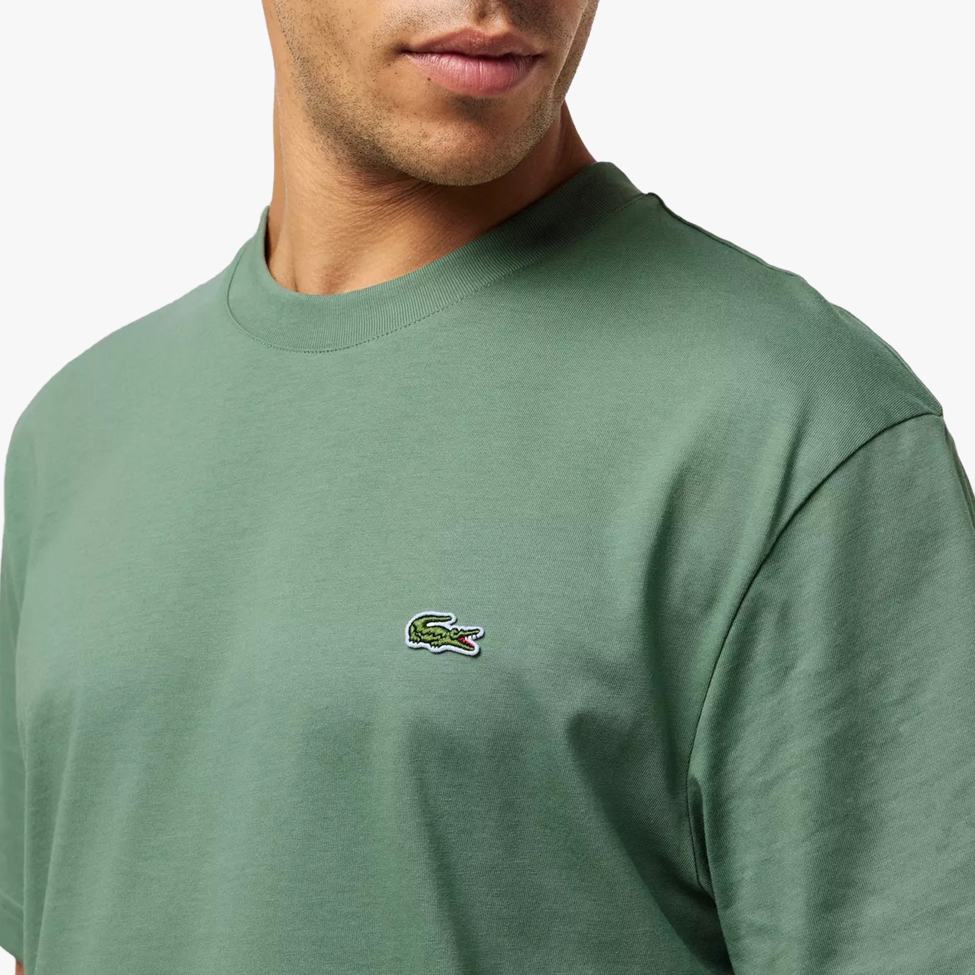 Lacoste Regular