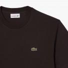 Lacoste Regular