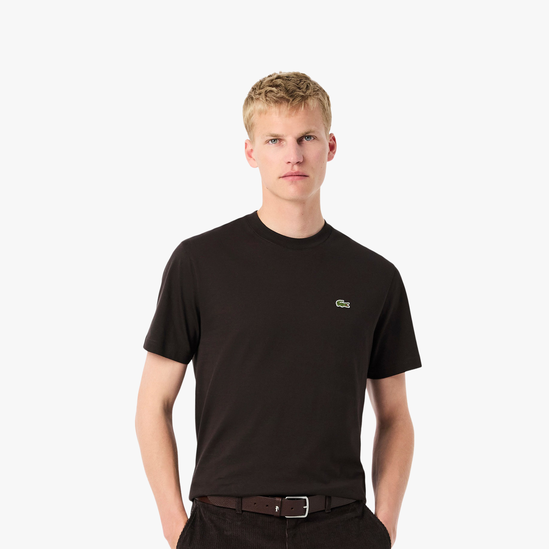 Lacoste Regular