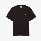 Lacoste Regular