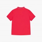 Champion Gallery