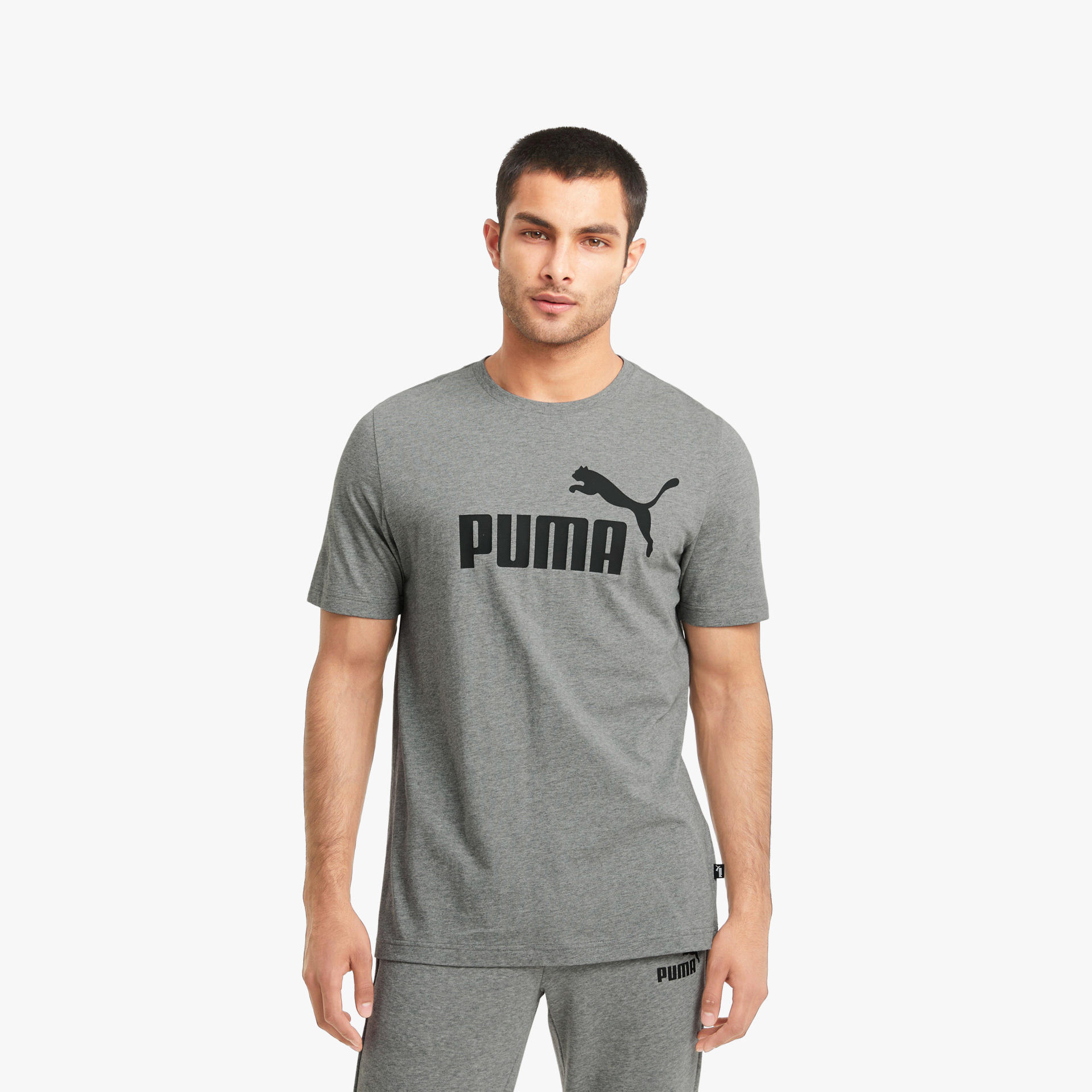 Puma ESS Logo